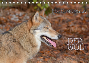 Begegnungen DER WOLF (Tischkalender 2023 DIN A5 quer) von GUGIGEI