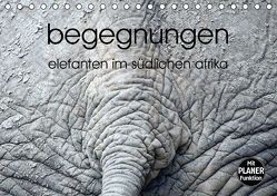 begegnungen – elefanten im südlichen afrika (Tischkalender immerwährend DIN A5 quer) von rsiemer,  k.A.