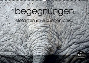 begegnungen – elefanten im südlichen afrika (Wandkalender immerwährend DIN A2 quer) von rsiemer,  k.A.