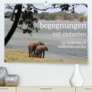 begegnungen – elefanten im südlichen afrika (Premium, hochwertiger DIN A2 Wandkalender 2023, Kunstdruck in Hochglanz) von rsiemer