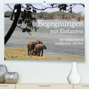 begegnungen – elefanten im südlichen afrika (Premium, hochwertiger DIN A2 Wandkalender 2024, Kunstdruck in Hochglanz) von rsiemer