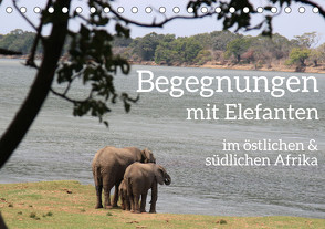 begegnungen – elefanten im südlichen afrika (Tischkalender 2024 DIN A5 quer) von rsiemer