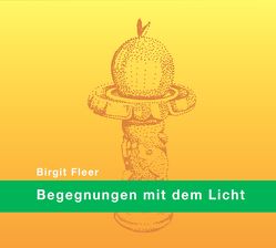 Begegnungen mit dem Licht von Fleer,  Birgit