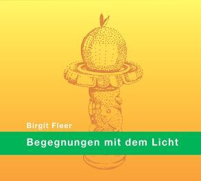 Begegnungen mit dem Licht von Fleer,  Birgit