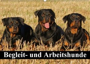Begleit- und Arbeitshunde (Wandkalender 2018 DIN A2 quer) von Stanzer,  Elisabeth