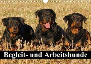 Begleit- und Arbeitshunde (Wandkalender 2018 DIN A4 quer) von Stanzer,  Elisabeth