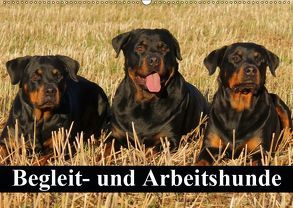 Begleit- und Arbeitshunde (Wandkalender 2019 DIN A2 quer) von Stanzer,  Elisabeth