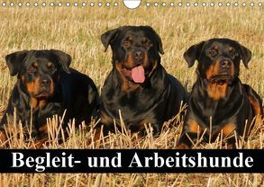Begleit- und Arbeitshunde (Wandkalender 2019 DIN A4 quer) von Stanzer,  Elisabeth