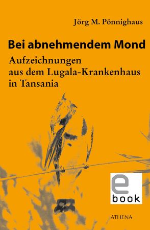 Bei abnehmendem Mond von Pönnighaus,  Jörg M.