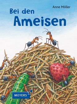 Bei den Ameisen von Möller,  Anne