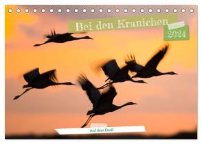 Bei den Kranichen (Tischkalender 2024 DIN A5 quer), CALVENDO Monatskalender von Bauer,  Frederic