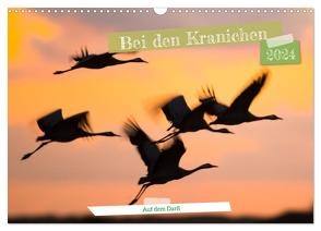 Bei den Kranichen (Wandkalender 2024 DIN A3 quer), CALVENDO Monatskalender von Bauer,  Frederic