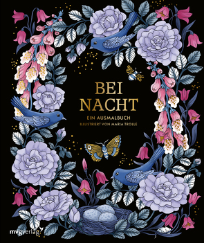 Bei Nacht – Ein Ausmalbuch von Trolle,  Maria