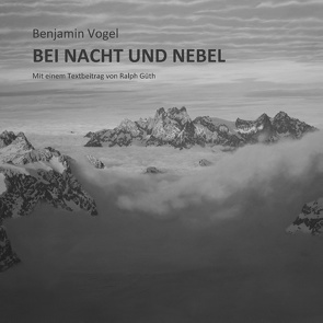 Bei Nacht und Nebel von Vogel,  Benjamin