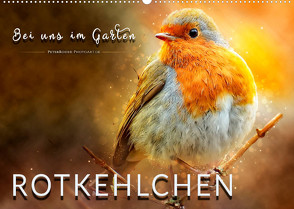 Bei uns im Garten – Rotkehlchen (Wandkalender 2023 DIN A2 quer) von Roder,  Peter