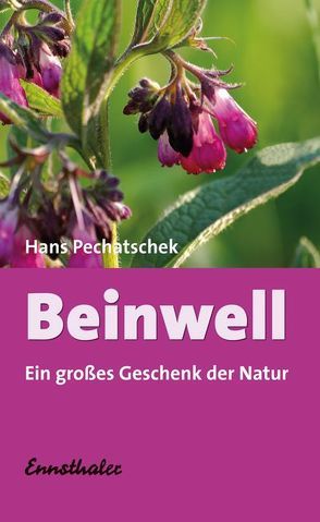 Beinwell von Pechatschek,  Hans