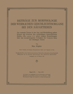 Beiträge zur Morphologie der Weiblichen Geschlechtsorgane bei den Säugetieren von Küpfer,  Max