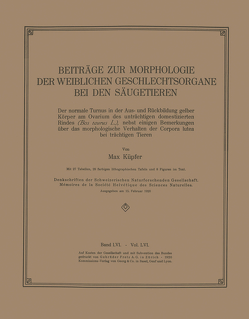 Beiträge zur Morphologie der Weiblichen Geschlechtsorgane bei den Säugetieren von Küpfer,  Max