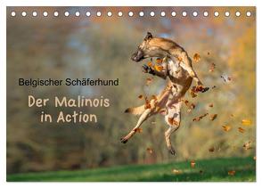 Belgischer Schäferhund – Der Malinois in Action (Tischkalender 2024 DIN A5 quer), CALVENDO Monatskalender von Brandt,  Tanja