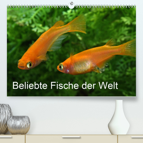 Beliebte Fische der Welt (Premium, hochwertiger DIN A2 Wandkalender 2021, Kunstdruck in Hochglanz) von Pohlmann,  Rudolf