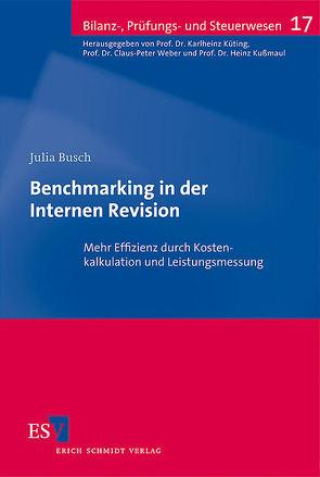 Benchmarking in der Internen Revision von Busch,  Julia