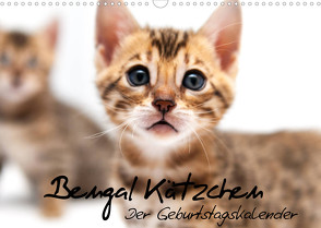 Bengal Kätzchen – Der Geburtstagskalender (Wandkalender 2023 DIN A3 quer) von Enderlein - Bethari Bengals,  Sylke