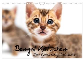 Bengal Kätzchen – Der Geburtstagskalender (Wandkalender 2024 DIN A4 quer), CALVENDO Monatskalender von Enderlein - Bethari Bengals,  Sylke