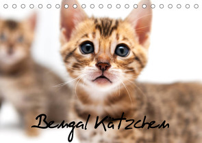 Bengal Kätzchen (Tischkalender 2023 DIN A5 quer) von Enderlein - Bethari Bengals,  Sylke