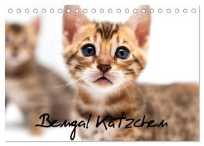 Bengal Kätzchen (Tischkalender 2024 DIN A5 quer), CALVENDO Monatskalender von Enderlein - Bethari Bengals,  Sylke