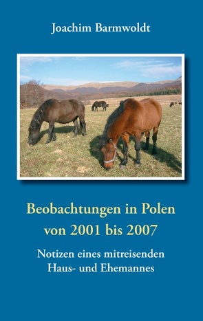 Beobachtungen in Polen von Barmwoldt,  Joachim