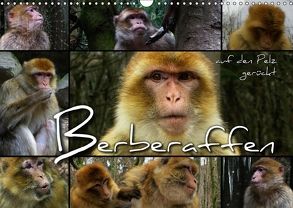 Berberaffen auf den Pelz gerückt (Wandkalender 2018 DIN A3 quer) von Bleicher,  Renate