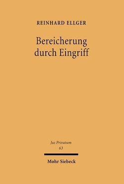 Bereicherung durch Eingriff von Ellger,  Reinhard