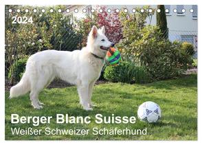 Berger Blanc Suisse – Weißer Schweizer Schäferhund (Tischkalender 2024 DIN A5 quer), CALVENDO Monatskalender von Brunhilde Kesting,  Margarete