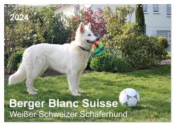 Berger Blanc Suisse – Weißer Schweizer Schäferhund (Wandkalender 2024 DIN A3 quer), CALVENDO Monatskalender von Brunhilde Kesting,  Margarete