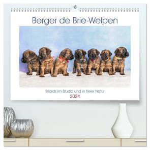 Berger de Brie – Welpen (hochwertiger Premium Wandkalender 2024 DIN A2 quer), Kunstdruck in Hochglanz von Teßen,  Sonja