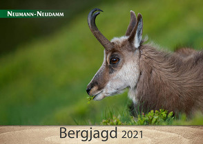 Bergjagd 2021