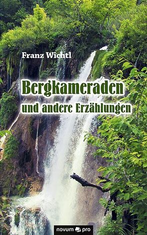 Bergkameraden und andere Erzählungen von Wichtl,  Franz