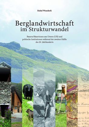 Berglandwirtschaft im Strukturwandel von Rahel,  Wunderli