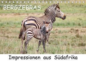 BERGZEBRAS Impressionen aus Südafrika (Tischkalender 2019 DIN A5 quer) von Thula