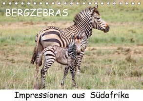 BERGZEBRAS Impressionen aus Südafrika (Tischkalender 2020 DIN A5 quer) von Thula