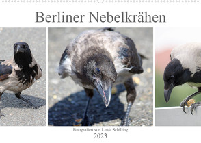 Berliner Nebelkrähen (Wandkalender 2023 DIN A2 quer) von Schilling,  Linda