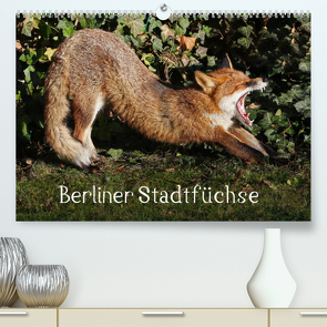 Berliner Stadtfüchse (Premium, hochwertiger DIN A2 Wandkalender 2023, Kunstdruck in Hochglanz) von Konieczka,  Klaus