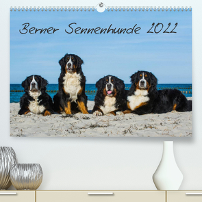 Berner Sennenhund 2022 (Premium, hochwertiger DIN A2 Wandkalender 2022, Kunstdruck in Hochglanz) von Starick,  Sigrid