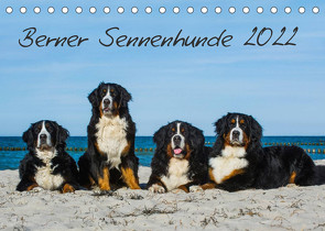 Berner Sennenhund 2022 (Tischkalender 2022 DIN A5 quer) von Starick,  Sigrid