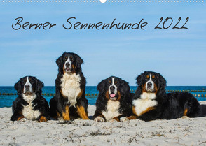 Berner Sennenhund 2022 (Wandkalender 2022 DIN A2 quer) von Starick,  Sigrid