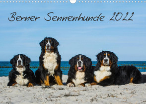 Berner Sennenhund 2022 (Wandkalender 2022 DIN A3 quer) von Starick,  Sigrid