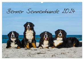 Berner Sennenhund 2024 (Wandkalender 2024 DIN A2 quer), CALVENDO Monatskalender von Starick,  Sigrid