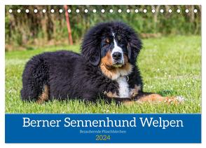 Berner Sennenhund Welpen – Bezaubernde Plüschbärchen (Tischkalender 2024 DIN A5 quer), CALVENDO Monatskalender von K. Fotografie,  Jana