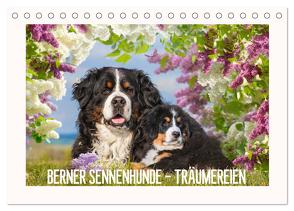 Berner Sennenhunde – Träumereien (Tischkalender 2024 DIN A5 quer), CALVENDO Monatskalender von Starick,  Sigrid