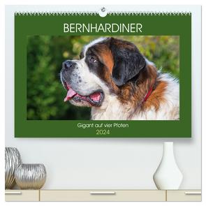 Bernhardiner – Gigant auf vier Pfoten (hochwertiger Premium Wandkalender 2024 DIN A2 quer), Kunstdruck in Hochglanz von Starick,  Sigrid